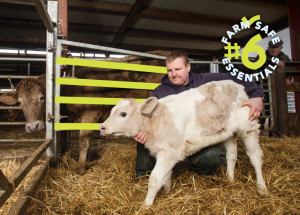 Image shows a farmer with a calve and reads: Calve with Care